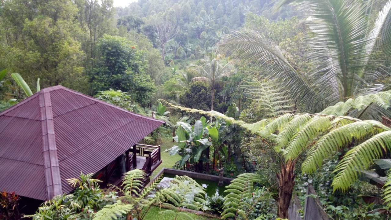 Bintang Munduk Hotel Luaran gambar
